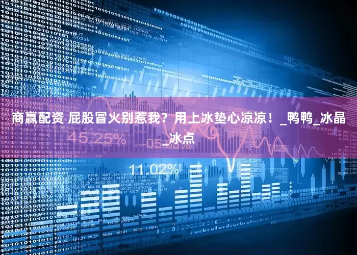 商赢配资 屁股冒火别惹我？用上冰垫心凉凉！_鸭鸭_冰晶_冰点